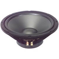 Goldwood GW-12PC-4 12" Heavy Duty Woofer 4 Ohm